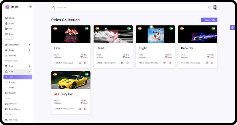 Rides, Themes & Store Items